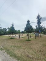 IMG20240905150456.jpg