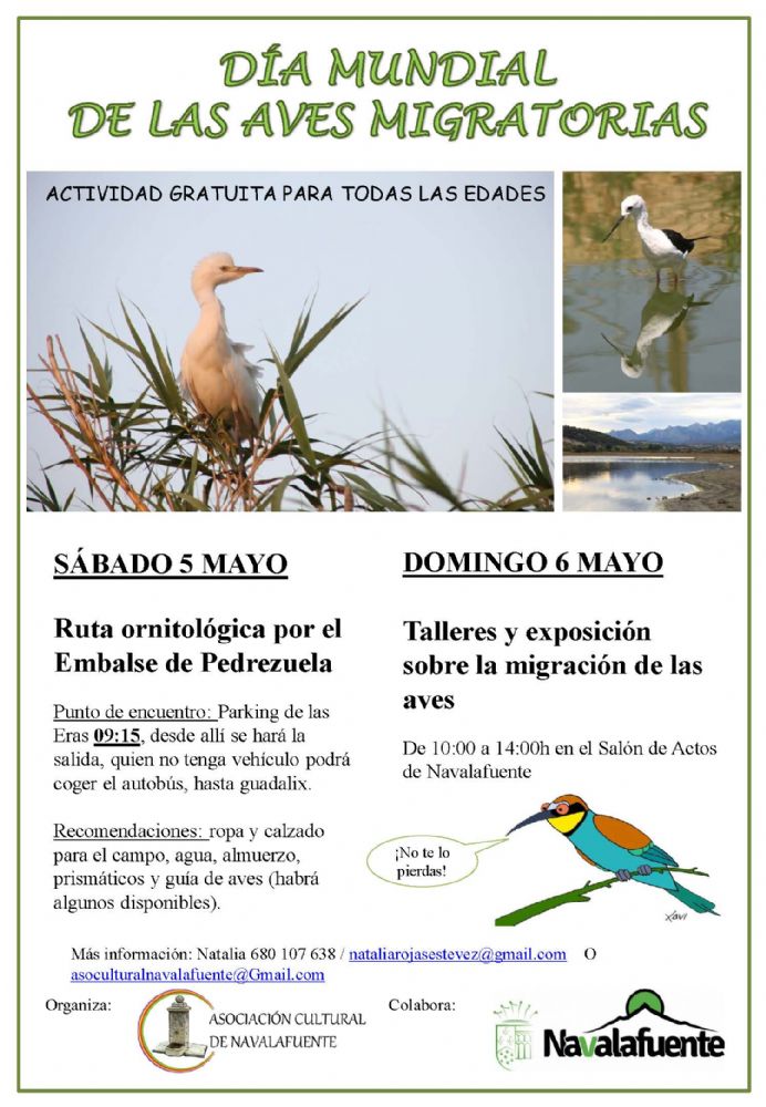 cielo Inolvidable Alérgico Dia mundial de las aves migratorias – Ayuntamiento de Navalafuente