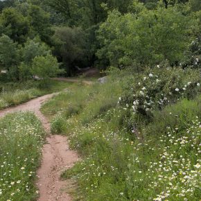 Ruta de "El Cancho"