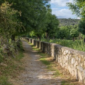 Ruta de las Callejas