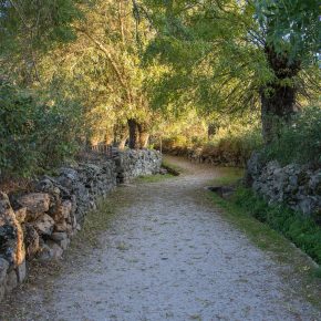 Ruta de las Callejas