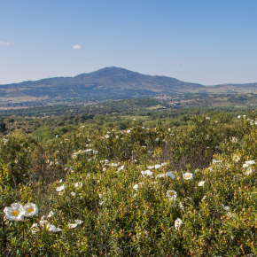 CiclaMadrid MTB Tour